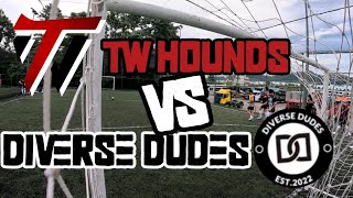 TECK WHYE HOUNDS VS DIVERSE DUDES | SGFSA PREMIER LEAGUE 2024