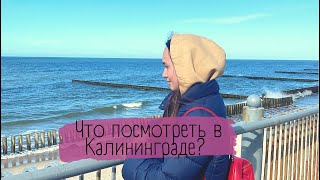 Что посмотреть в Калининграде?//Экспресс экскурсия за 6 дней