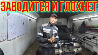 Suzuki ЗАВОДИТСЯ И ГЛОХНЕТ.