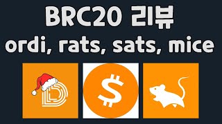 [개발자 인사이트] brc 20 토큰 / ordi, rats, sats, mice 코인