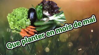 #mai #planter #legumes Que plantez en de mois mai