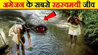 amazon jungle ka sabse khatarnak janwar || 👹 Amazon rainforest forest video hindi