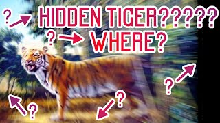 2D animated Optical Illusion Find the hidden Tiger!