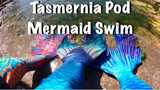 Mermaid Swim Compilation - Tasmernia Pod Meetup