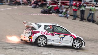 Citroën Xsara WRC VS Peugeot 206 WRC | BEST OF