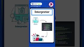 Unlocking Language Barriers: The Role of Interpreters #codingshorts #viral #coding