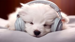 Dog Music: 24 HOURS | Deep Sleep Relaxation Melodies to CALM YOUR DOG #7