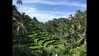 Bali -Indonesia