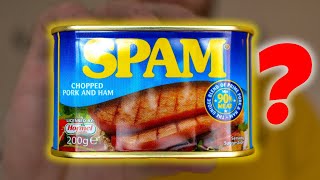 Can I Make SPAM Taste Incredible!?....