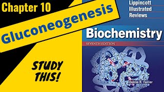 Lippincotts Biochemistry Review (Chapter 10) Gluconeogenesis || Study This!