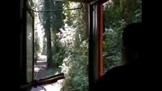 Riding in the cab of the Dixiana at the Roaring Camp and Big Trees Felton, CA