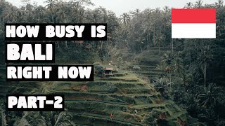 How Busy is BALI Right now? #BALI, UBUD 2022 | part 2 | BALI Travel Guide