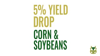 5% yield DROP | What it looks like for corn and soybeans