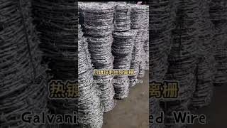 Galvanized Barbed Wire