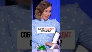 СОБЧАК НЕНАВИДИТ ВОЛОЧКОВУ? #интервью #звезды #шоу