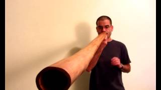 Powerful Oak didgeridoo in F Sharp