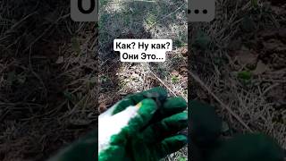 Как? Ну как? Они это делали и пользовались? #metaldetecting #коп #коп #coin #история #metaldetector