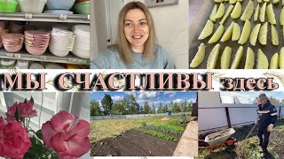 VLOG: КОПАЕМ участок/КАРТОШКА по-деревенски/КУПИЛА чашки/Как ВСЕ БЫЛО/КРАШУ БРОВИ