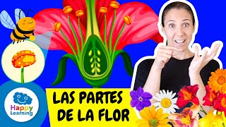 Las Partes de la Flor Explicadas en Lengua de Signos | Happy Learning 🌸🌿🤟