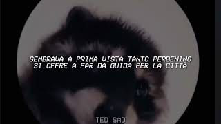 PEDRO - Raffaella Carrà, Jaxomy, Agatino Romero (Remix TikTok - Letra) pedro pedro pedro pe-