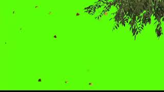 tree falling with plants green screen effect + Free Download (chroma key)video.720p