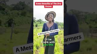 Benefits of The Dry Season Part 2 #farminginafrica #semanhyiafarms #goathusbandry