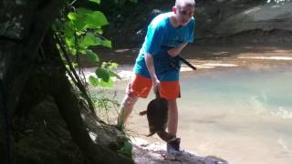 Matthew caught a snapping turtle in the bait creek behind our apts