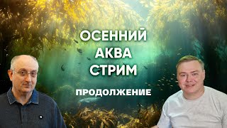 Осенний стрим по аквариумистике с Александром Ершовым. Продолжение