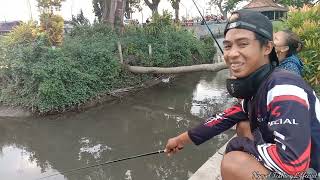 BALONG KAWOK TULUNGAGUNG,MANCING SANTAI SAMBIL NGOPI