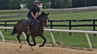 Matzoball Muhammet galloping on 5/17.