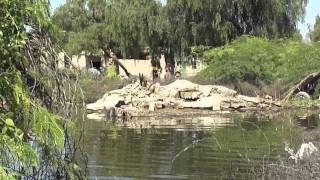 Floods in Sindh 2011 - Petarian Foundation relief work in Sanghar - 16