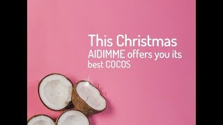 This Christmas AIDIMME offers you its best COCOS