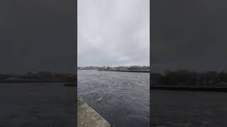 LIMERICK: io  sul fiume Shannon