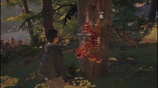 TLOU EASTER EGG IN LIFE IS STRANGE 2