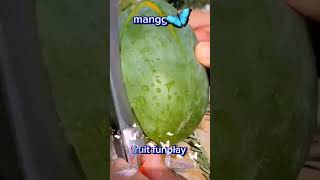 fruit funplay/#manga #mango #fruit #funplay #shortvideo #youtubeshorts