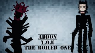 Minecraft addon. Doctor Nowhere. T.O.E. The Boiled one