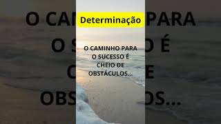 DETERMINAÇÃO