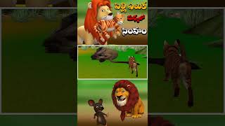 పిల్లి ఎలుక మధ్యలో సింహం | Cat Rat And Lion Stories in Telugu | Story in Telugu | Jungle stories_06