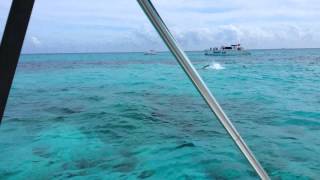 Alligator Reef, Islamorada, Florida in 4k