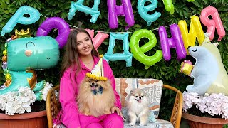 День Рождение Патрика 🥳 Шпицу 3 годика 🎂 подарки, торт, развлечения… #померанскийшпиц