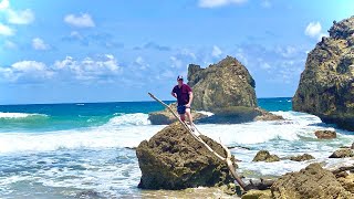 Barbados Day 9 - Hogg's of the Caribbean 🗺️