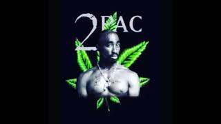 2pac Aboriginal New