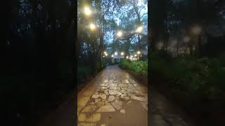 Matheran Camping in nightlife #ytshorts #tent #nightlife #tentstay #matheran #ytviral #nature #love