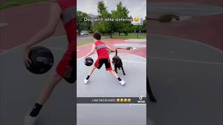 Life is a game, and these dogs are always up for another round! 🏀🐕   #shorts #funny #viral