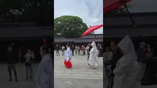 Traditional Japanese Wedding at Meiji Jingu Shinto Shrine in Tokyo Japan 東京・明治神宮での結婚式 #japanvlog