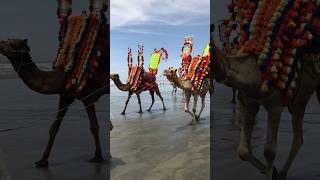 Clifton Beach Seaview Karachi #clifton #sea #views #views_viral_video_subscribers_grow #karachi