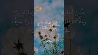 تلاوة جميلة من سورة البقرة الآية 274 بصوت القارئ مشاري راشد العفاسي #حالات #فولو #quran #shorts