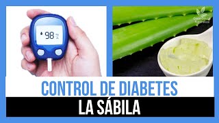 Sabila Para La Diabetes