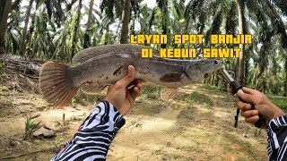 LAYAN SPOT BANJIR DI KEBUN SAWIT | HARUAN | TOMAN | KEBUN BANJIR