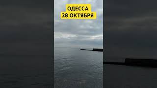 Одесса 28 октября 2024 #одесса #море #природа